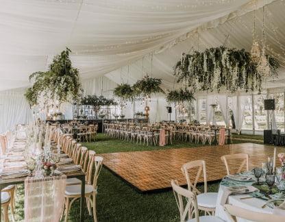 nexa events contact us