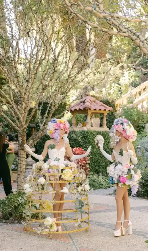 Image depicting the setup process