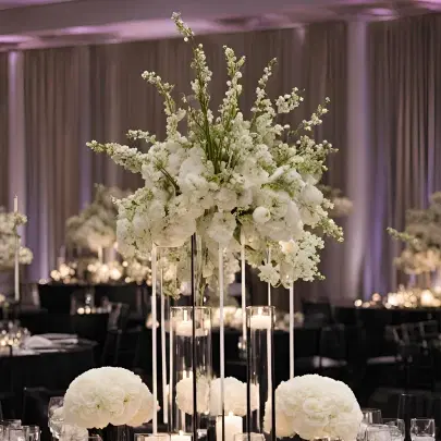 Image for Event Services for Non-Profit & Government Initiatives