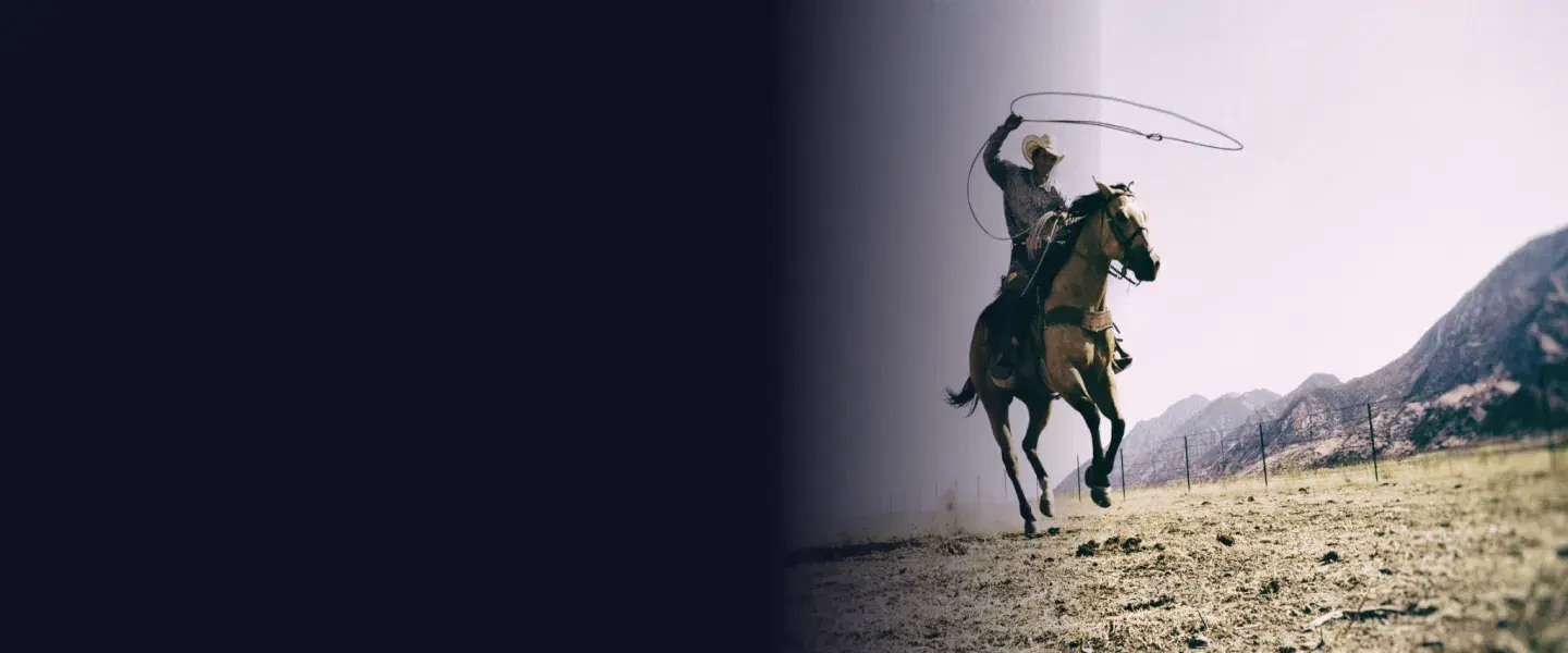 Bachelor party group enjoying nightlife and high energy celebration experience