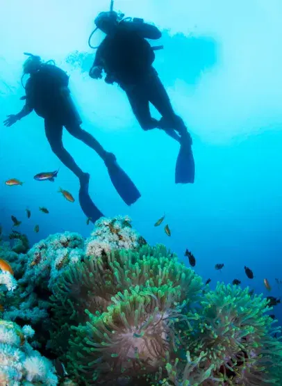 Download packages section image